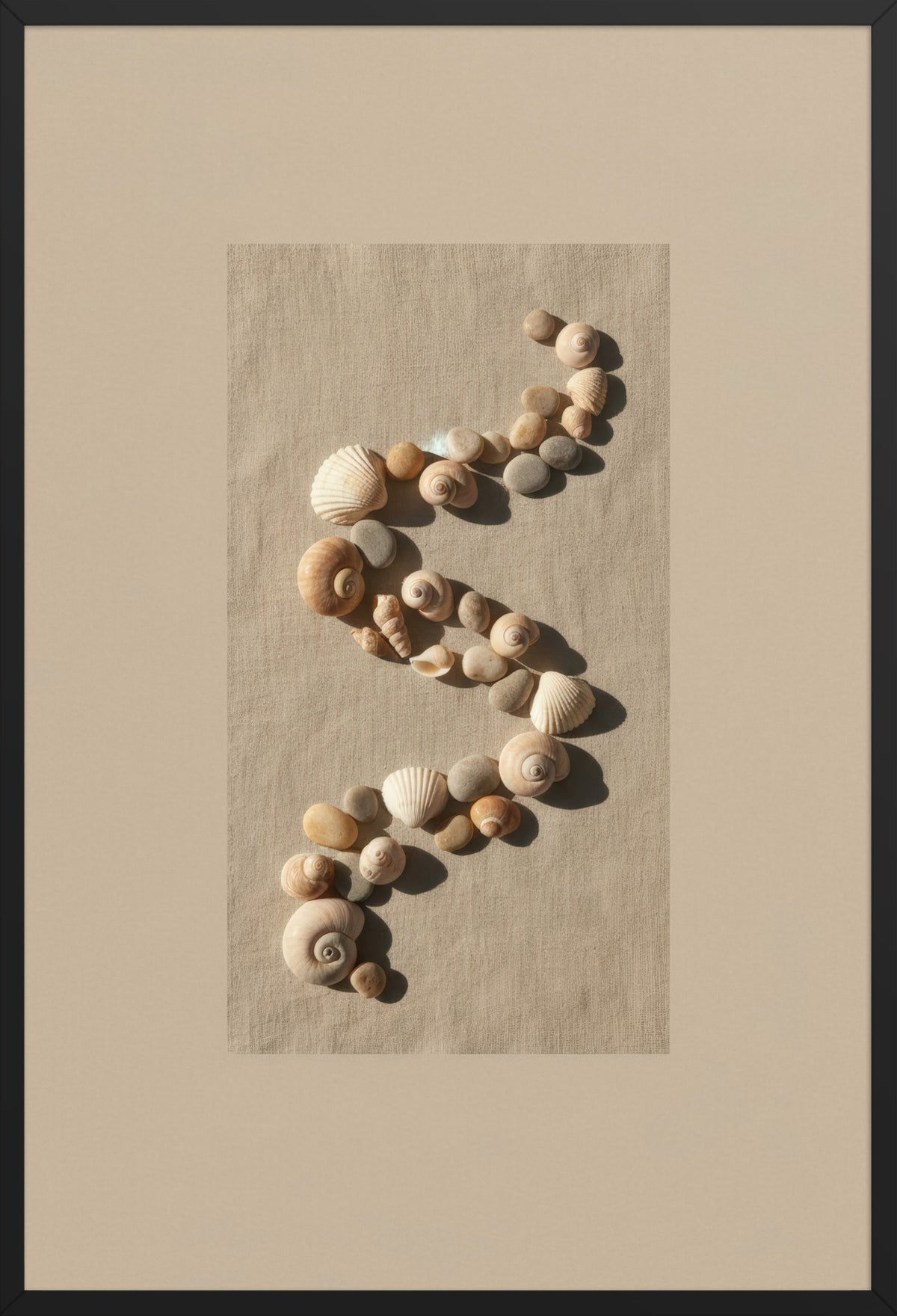 Seashell Spiral — poster in a black frame, front view